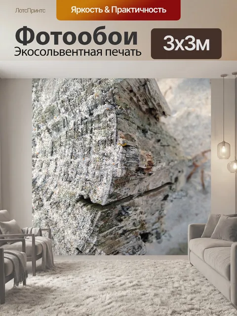 Фотообои Ствол