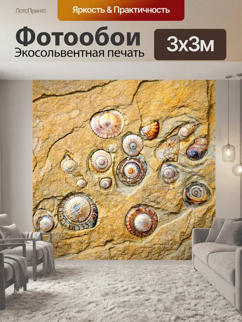 Фотообои камень, на которых изображены спирали ракушек на песчанике, с прожилками морских глубоких окаменелостей