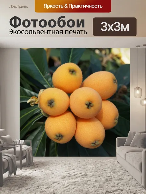 Фотообои Большой