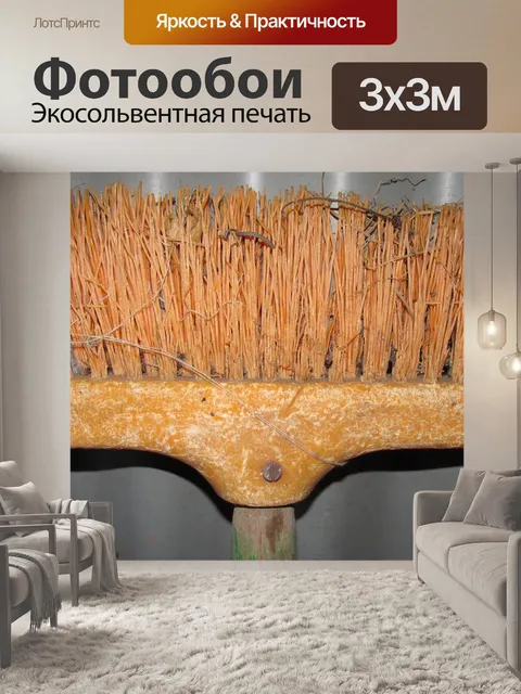 Фотообои Метла