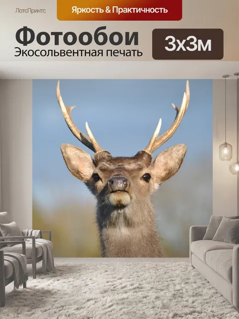 Фотообои Олень