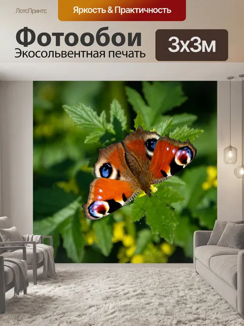 Фотообои Бабочка, насекомое, павлиний глаз