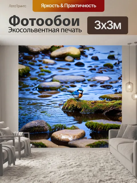 Фотообои лазоревка сидит на старой, покрытой мхом коряге у прозрачного ручья, где камни сверкают в воде