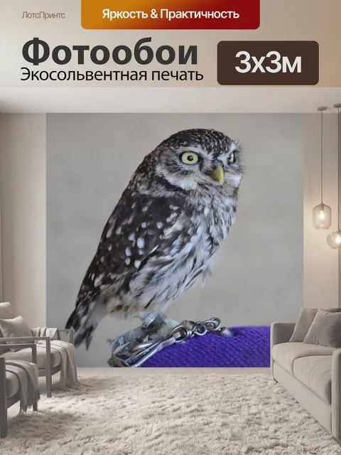 Фотообои Карлик ооо