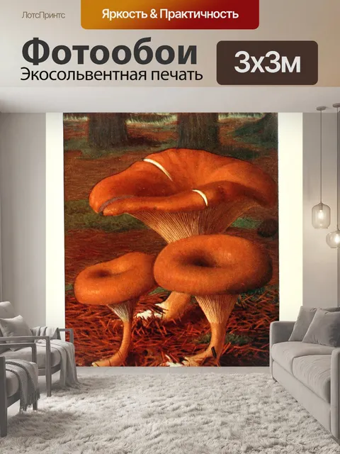 Фотообои Грибы век винтаж старый