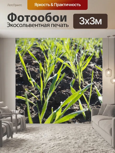Фотообои Сельское хозяйство