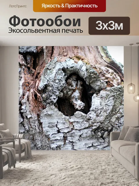 Фотообои Узел Hole