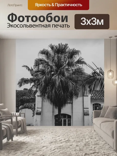 Фотообои Пальма