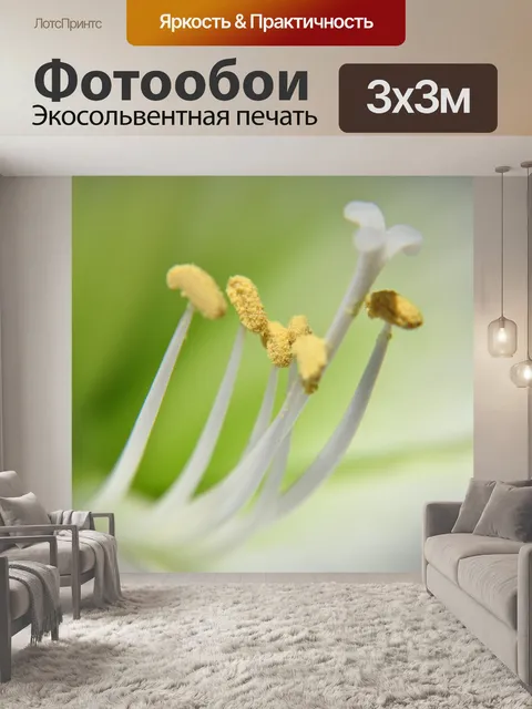 Фотообои Природа