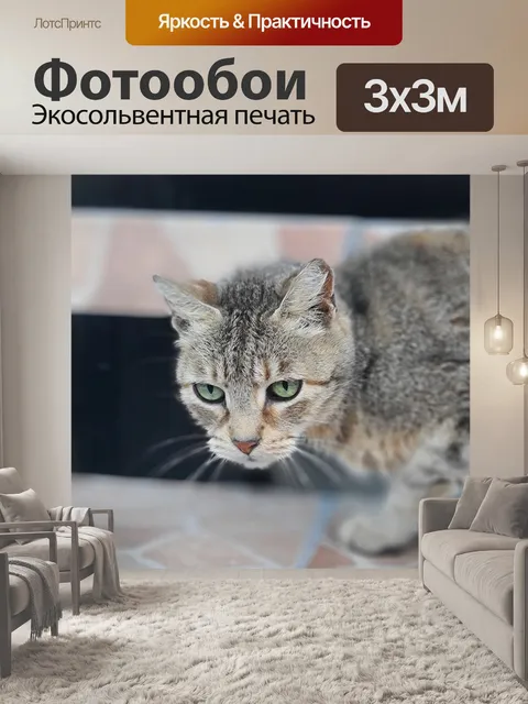 Фотообои Планета