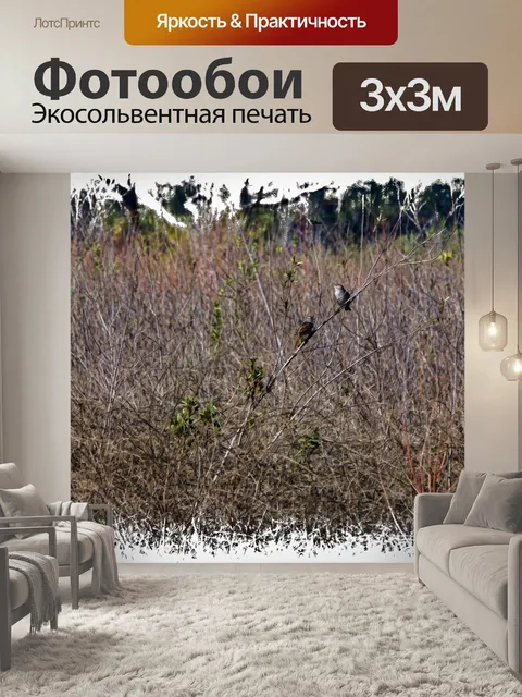 Фотообои Воробьи