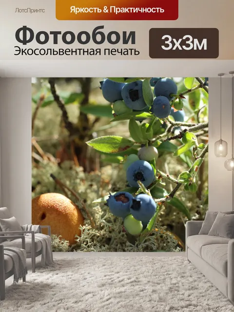 Фотообои Черника Грибы и лишайников