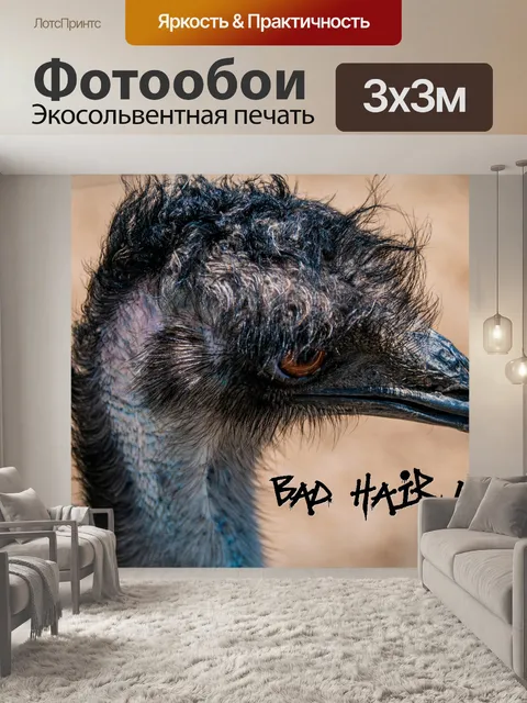 Фотообои Плохой день волос