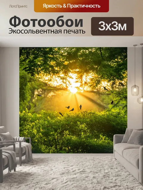 Фотообои закат в зеленом лесу