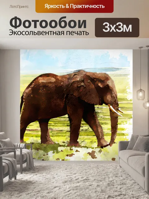 Фотообои Слон