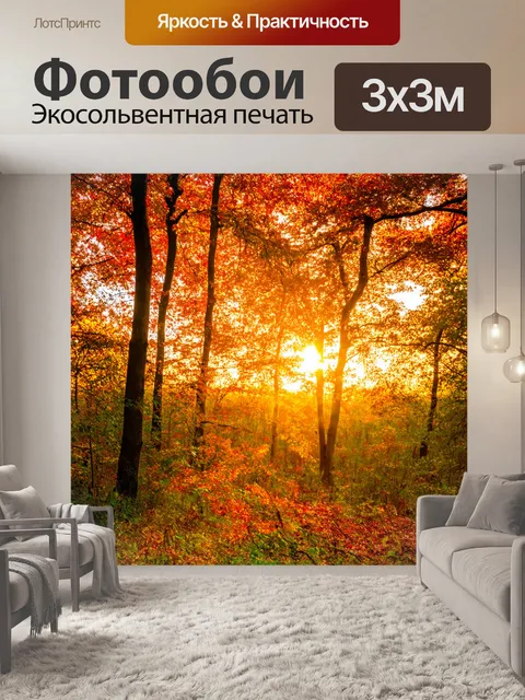 Фотообои закат в ярком лесу, осень, листья меняют цвет, волшебная атмосфера в воздухе