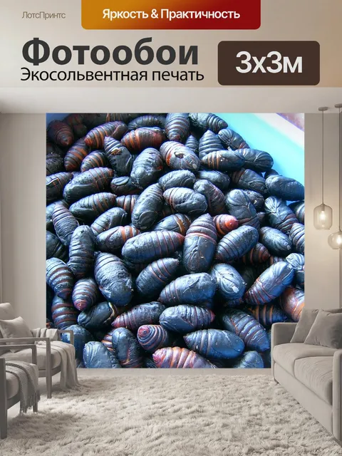 Фотообои Китай