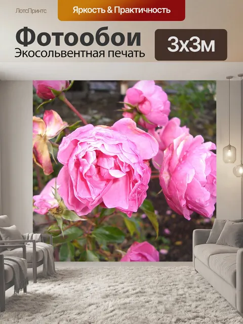 Фотообои Розы