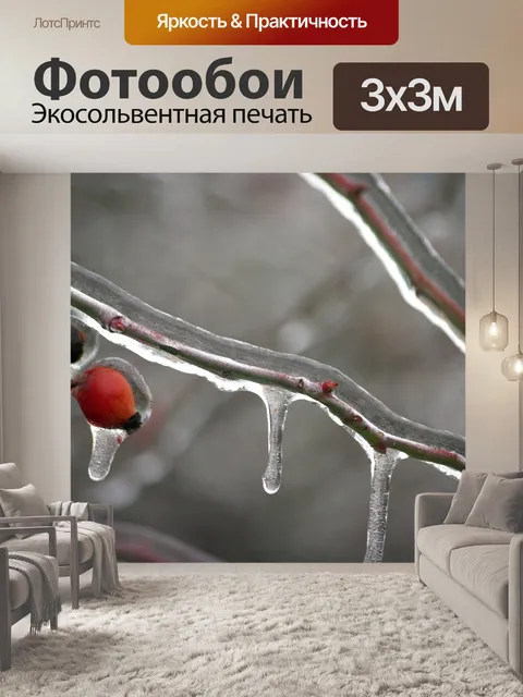 Фотообои Замороженные филиал