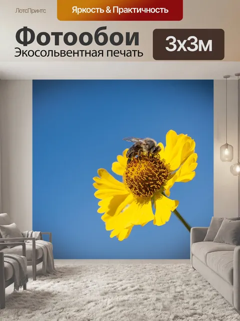 Фотообои Пчела
