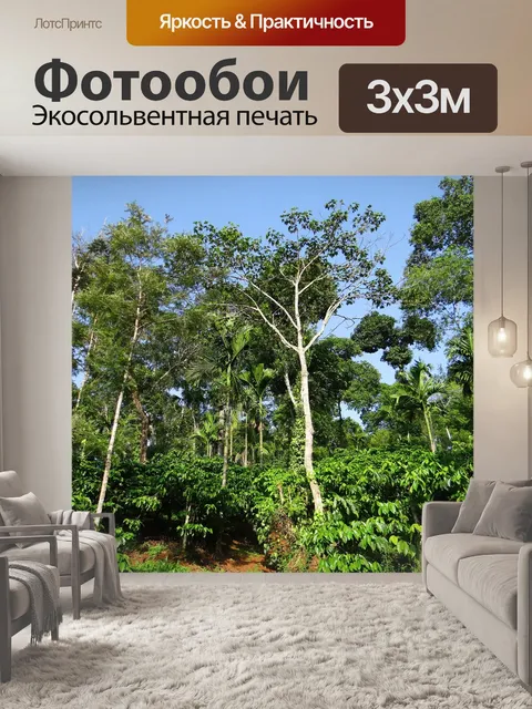 Фотообои Кофейная плантация