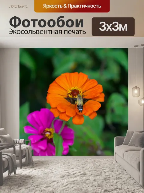 Фотообои Ночного видения или жира