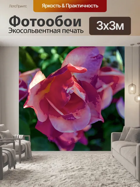 Фотообои Розовый цветок