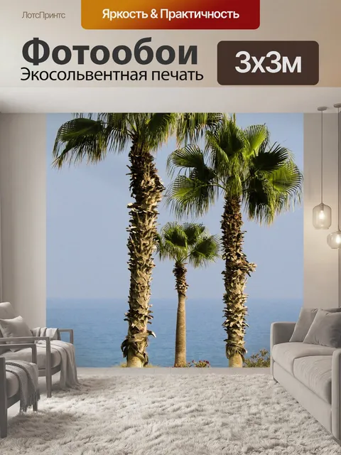 Фотообои Пальма