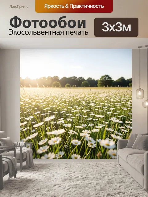 Фотообои Ромашковое поле на рассвете