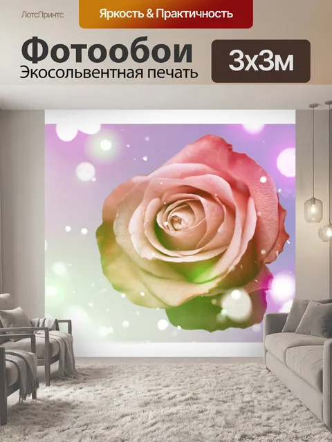 Фотообои Роза цветет роза цветок боке