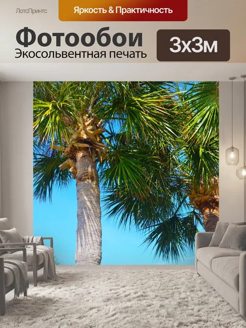 Фотообои Пальмы