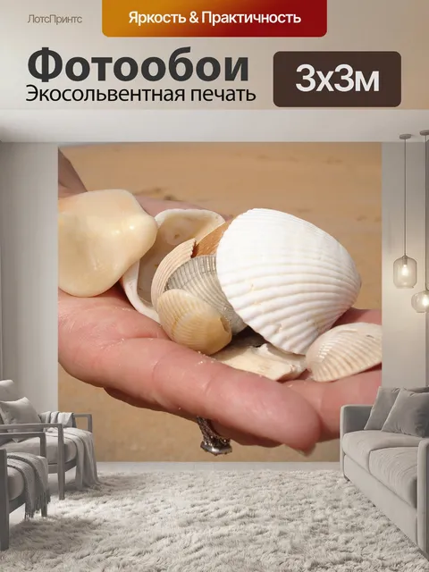 Фотообои Морская ракушка