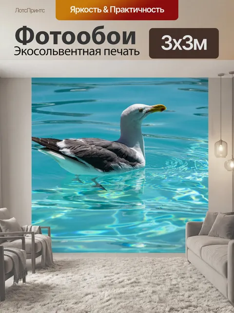 Фотообои Чайка в бассейне
