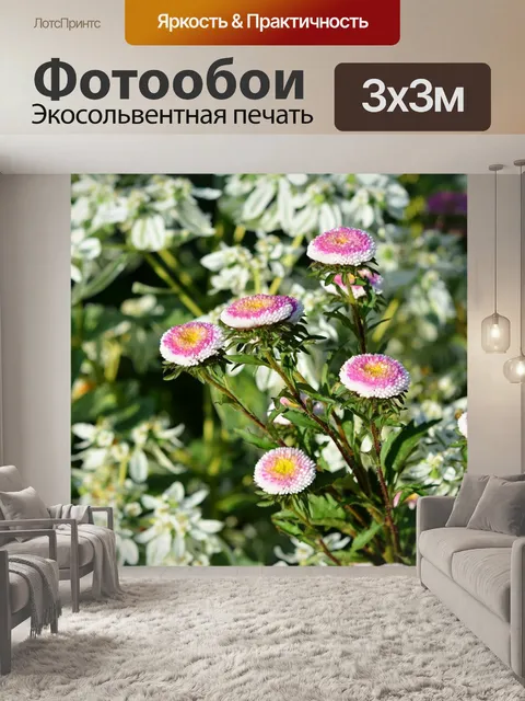 Фотообои Осень