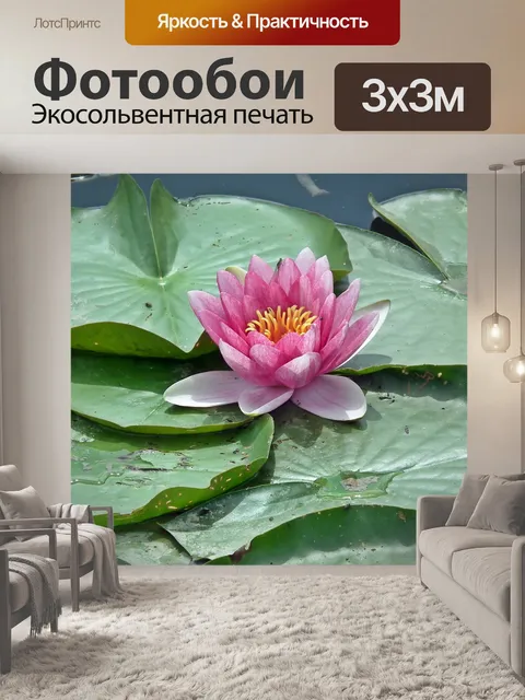 Фотообои Водяные лилии