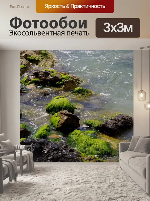 Фотообои Зеленые водоросли на скалах