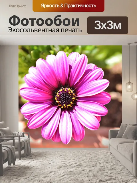 Фотообои Розовый цветок