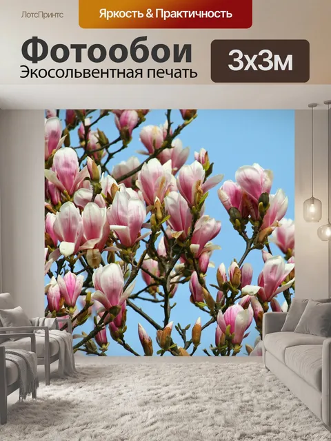 Фотообои Магнолия