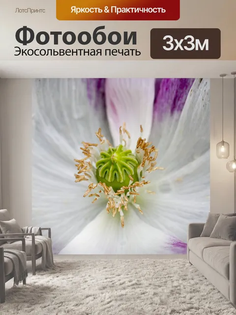 Фотообои Цветочные абстрактный Макро