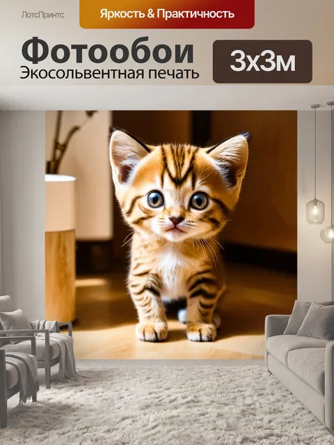 Фотообои котенок, исследующий квартиру, с любопытными глазами, тени и свет, декоративные аксессуары, современный стиль