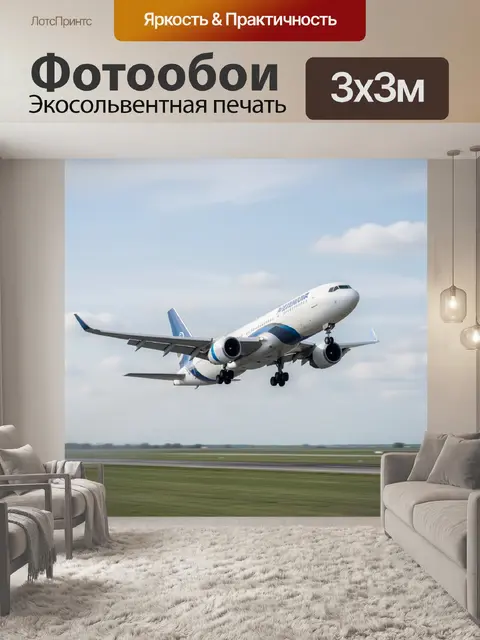 Фотообои Пассажирский самолет в небе