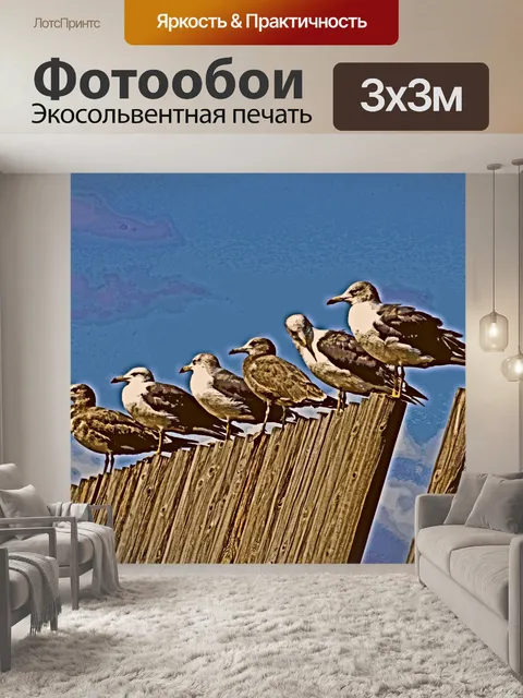 Фотообои Seagulls