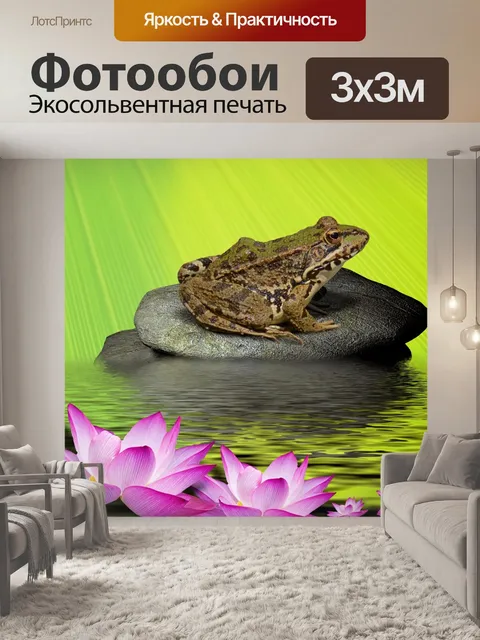 Фотообои Лягушка на камне