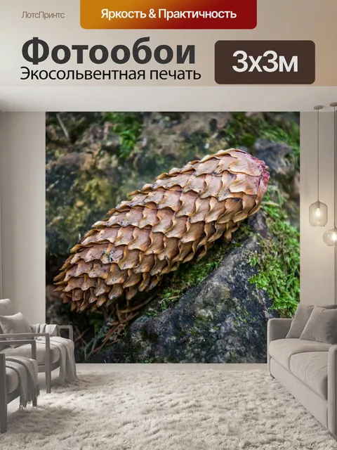Фотообои Сосновая шишка