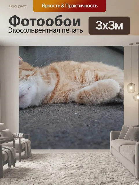 Фотообои Алиса