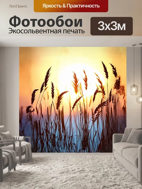 Фотообои на первом плане — тростник