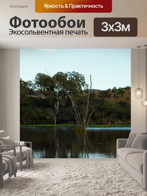 Фотообои высокие деревья, стоящие в воде