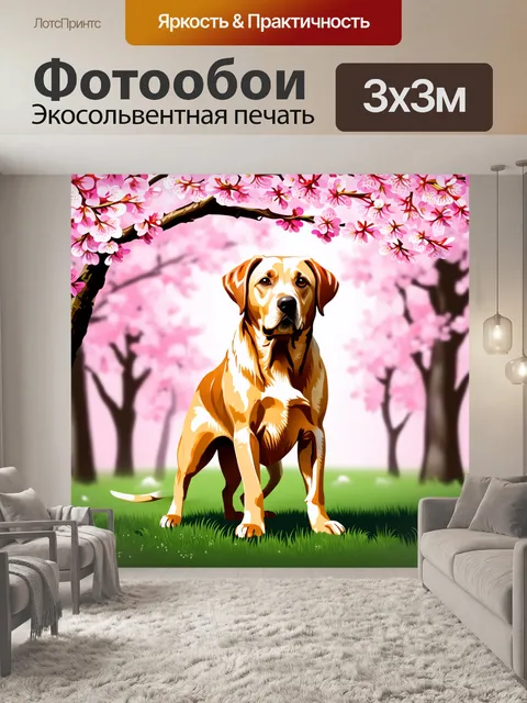 Фотообои лабрадор, стоящий на фоне цветущих сакур, с яркими розовыми цветами вокруг