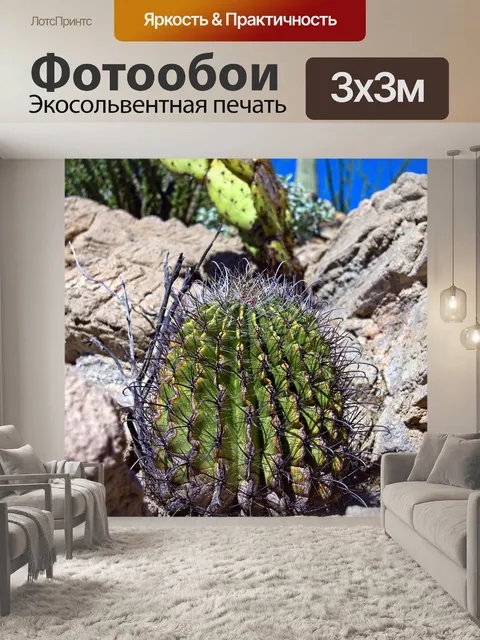 Фотообои Крючок кактус