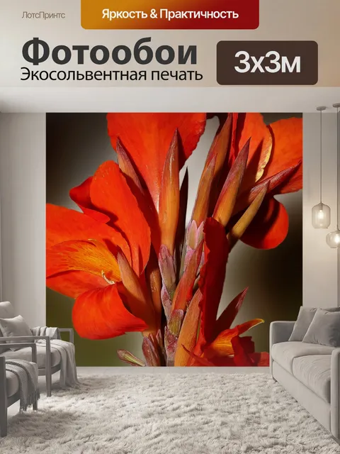 Фотообои Канна